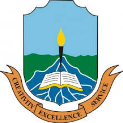 Logo of Niger Delta University Yenagoa